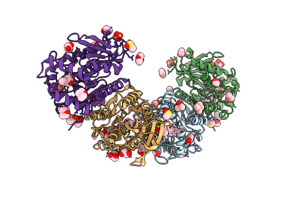 7CIH image
