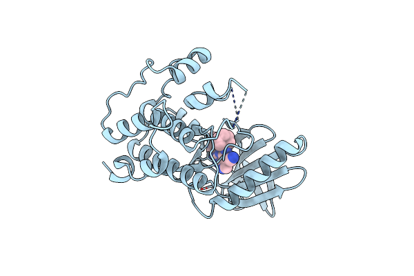 7CIL image