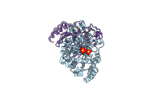 7CIN image