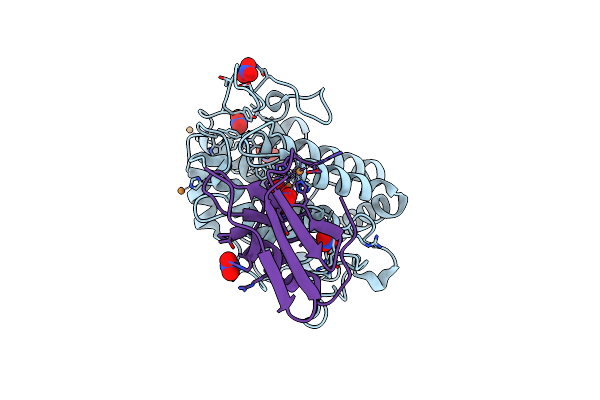 7CIT image
