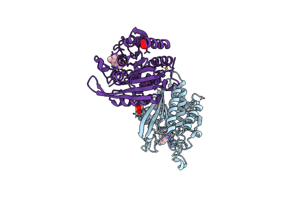 7CJG image