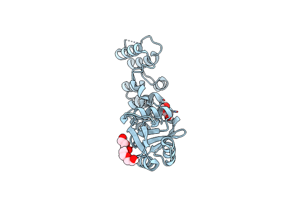 7CJR image