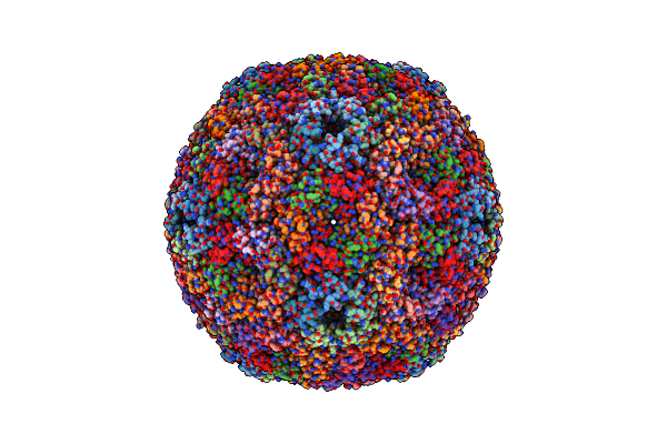 7CKC image