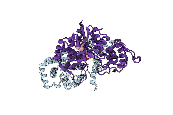 7CKG image