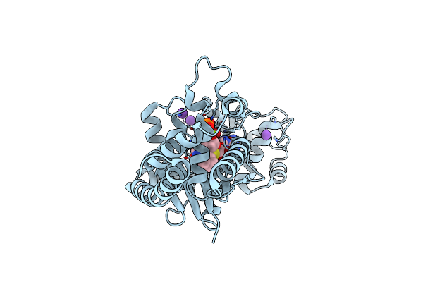 7CKI image