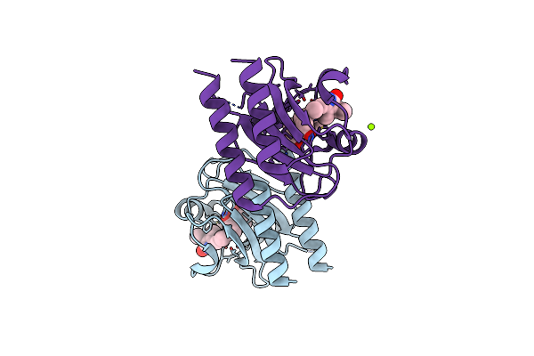 7CKV image