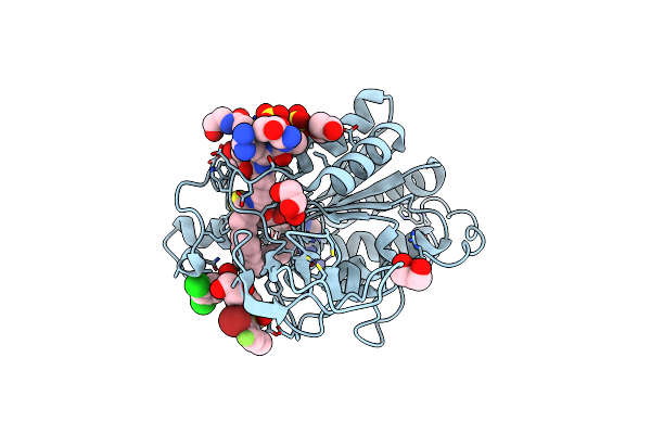 7CL1 image
