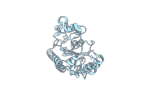 7CLE image