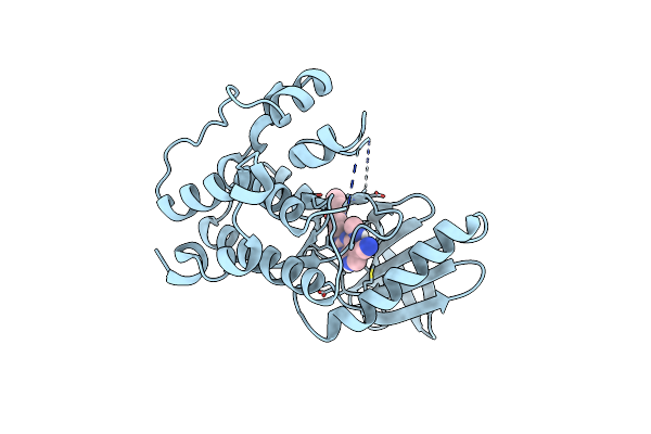 7CLH image