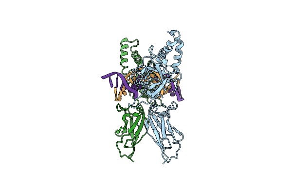 7CLI image
