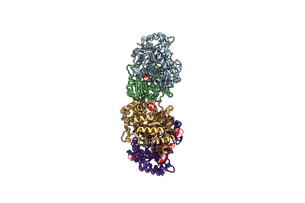 7CLL image