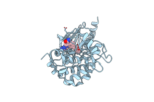 7CMB image