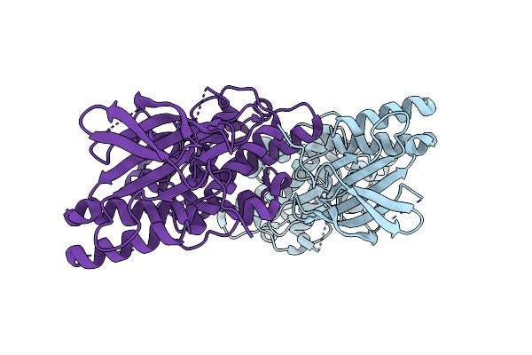 7CML image