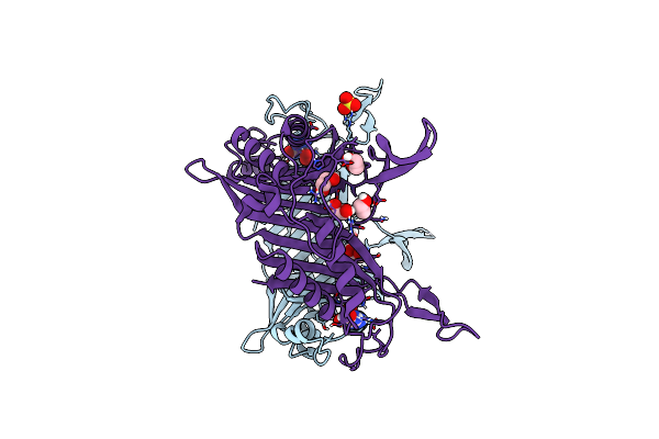7CMN image