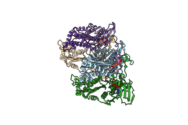 7CMP image