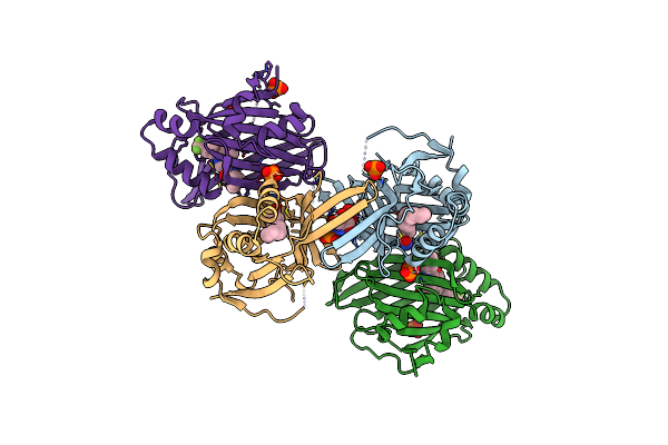 7CNL image