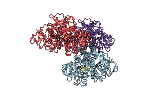 7CNP image