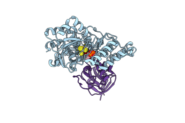 7CNS image