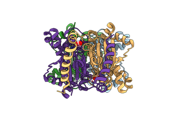 7COI image