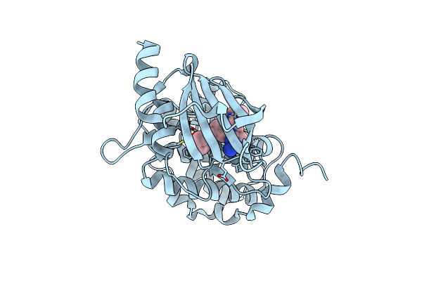 7CP4 image