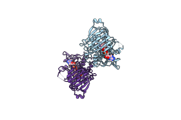 7CP6 image