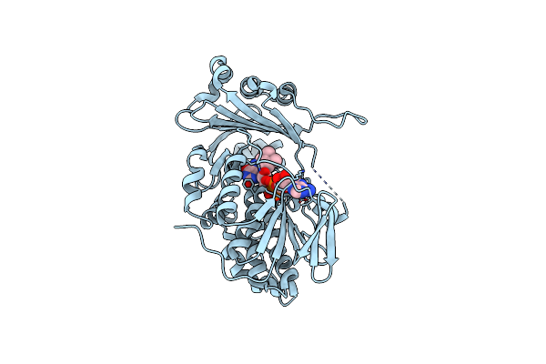 7CP7 image
