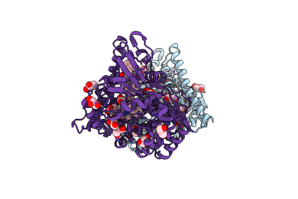 7CP8 image