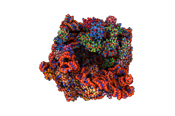 7CPJ image