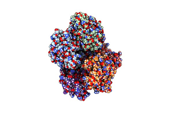 7CPN image