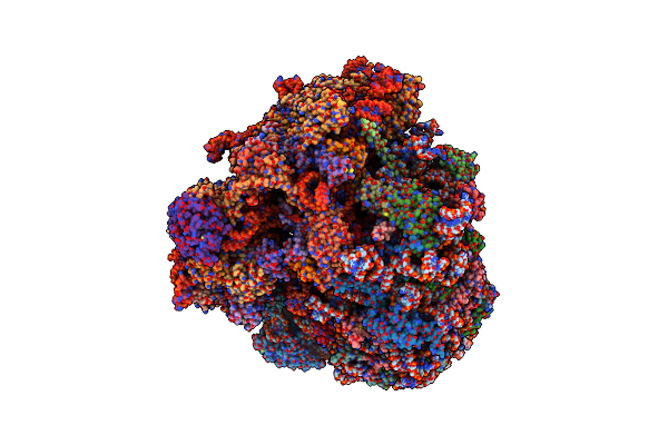 7CPU image
