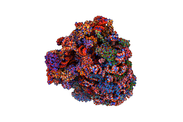 7CPV image