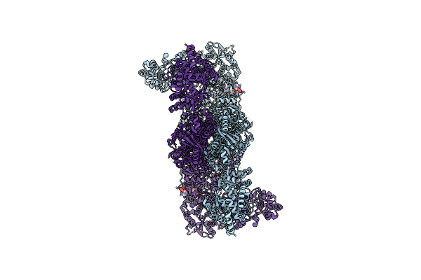 7CPX image