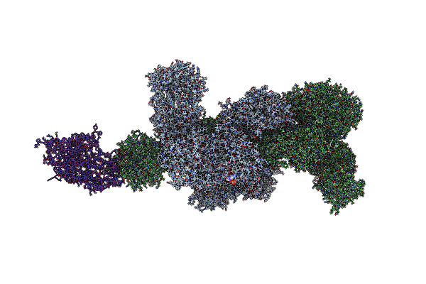 7CPY image