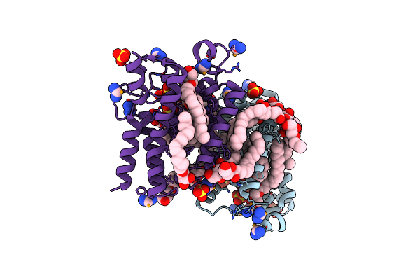 7CQM image