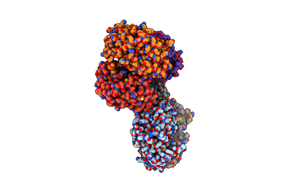 7CS2 image