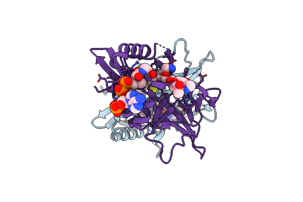 7CSI image