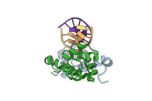 7CSW image