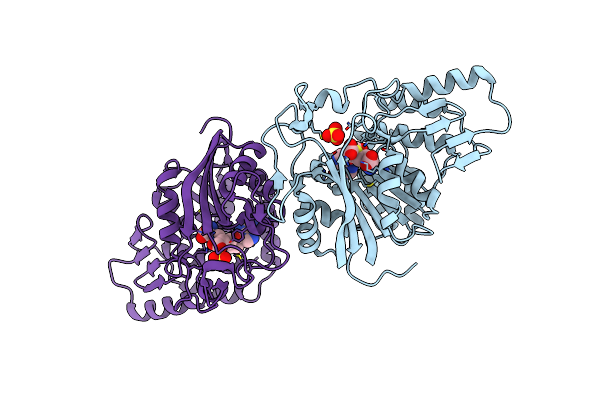 7CTA image