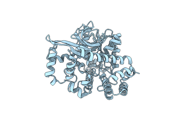 7CTD image