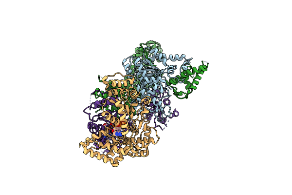 7CTE image