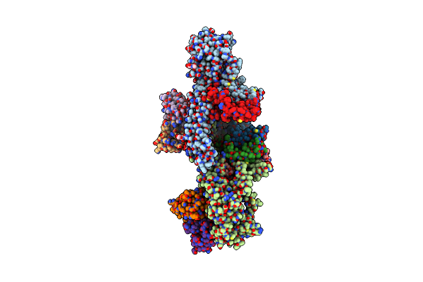 7CTH image