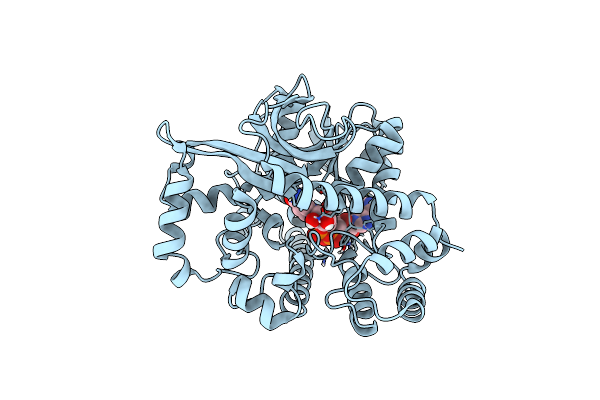 7CTL image