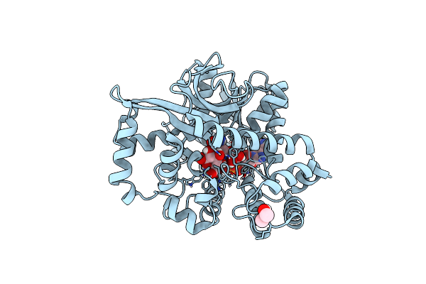 7CTM image