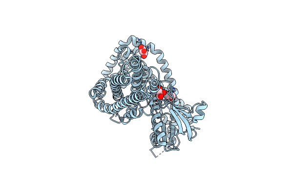 7CTP image