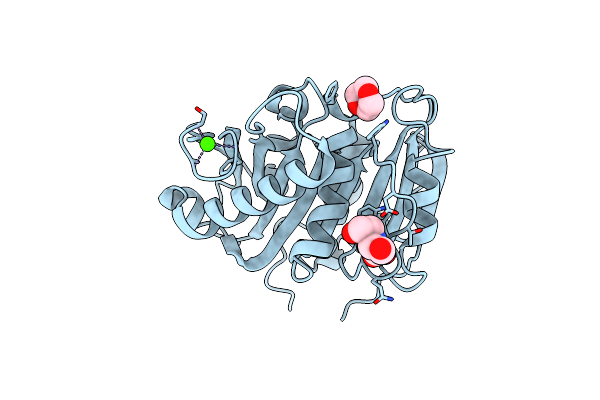 7CTS image