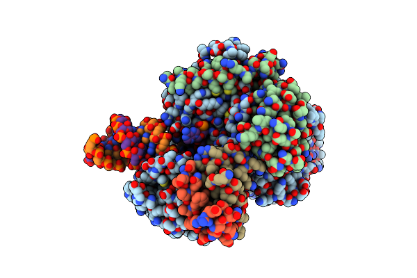 7CTT image