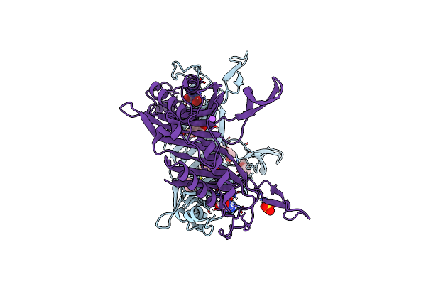 7CUG image