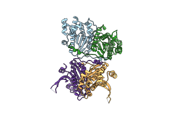 7CV1 image