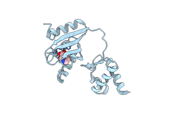 7CV2 image