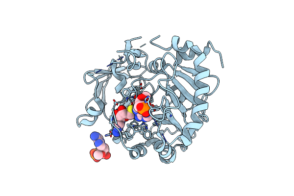 7CV6 image